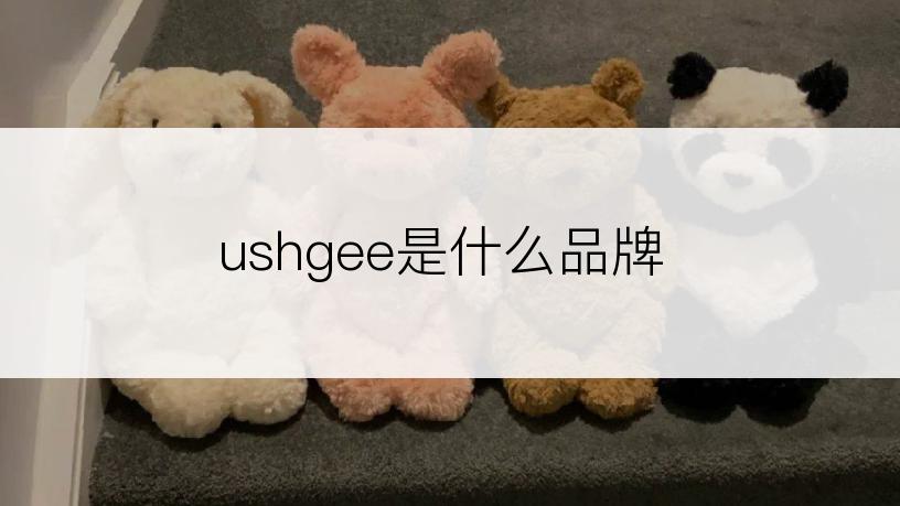ushgee是什么品牌