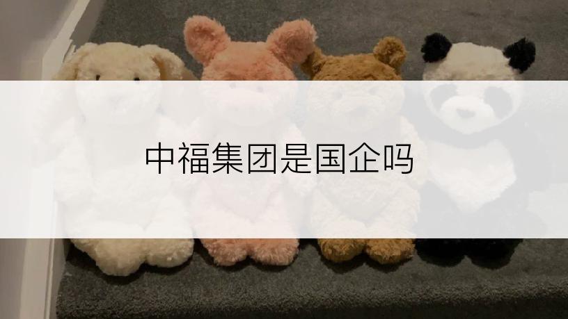 中福集团是国企吗