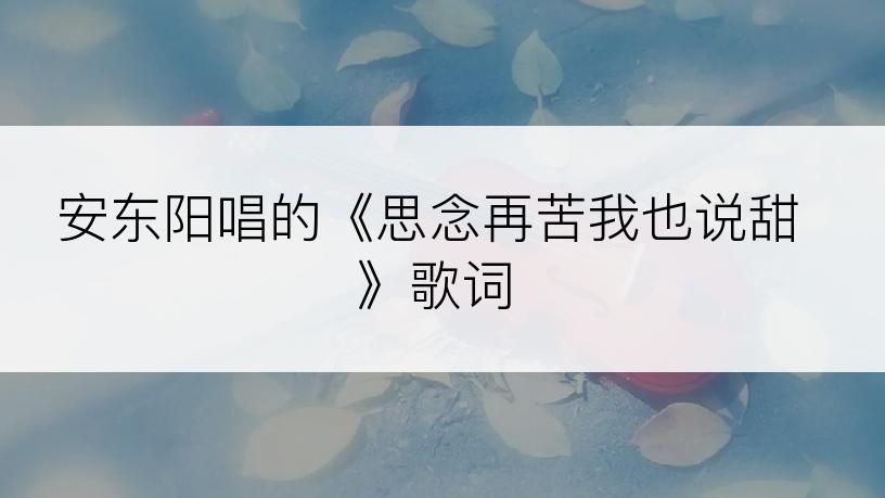 安东阳唱的《思念再苦我也说甜》歌词