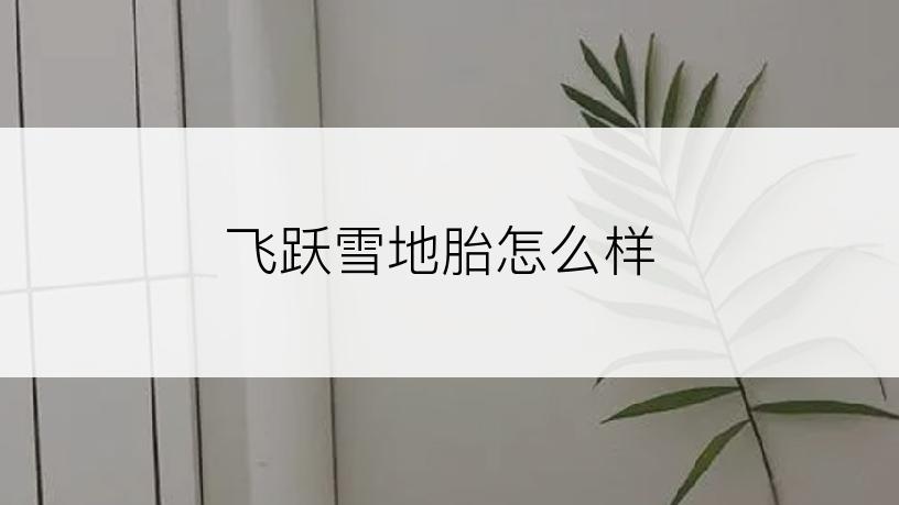 飞跃雪地胎怎么样