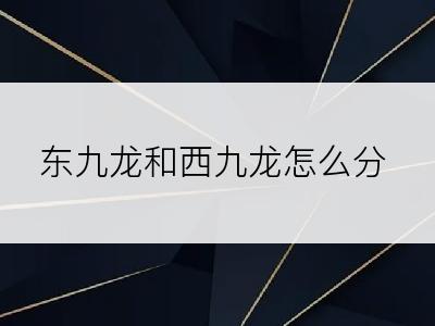 东九龙和西九龙怎么分