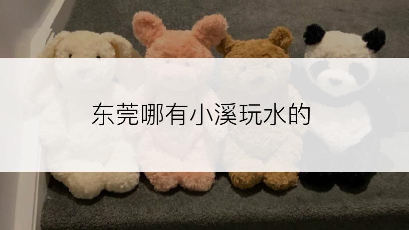 东莞哪有小溪玩水的
