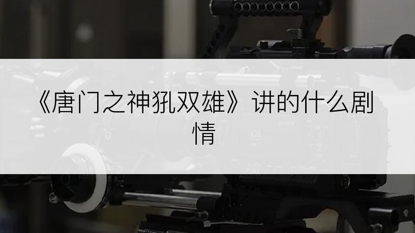 《唐门之神犼双雄》讲的什么剧情