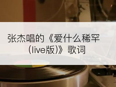 张杰唱的《爱什么稀罕(live版)》歌词