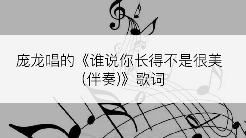 庞龙唱的《谁说你长得不是很美 (伴奏)》歌词
