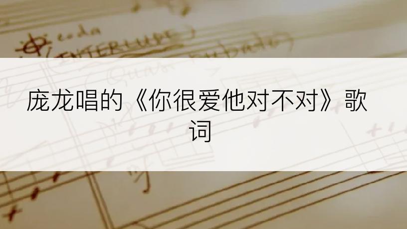 庞龙唱的《你很爱他对不对》歌词