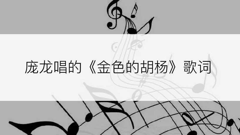 庞龙唱的《金色的胡杨》歌词