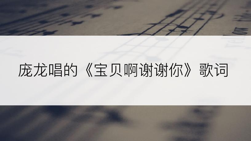 庞龙唱的《宝贝啊谢谢你》歌词