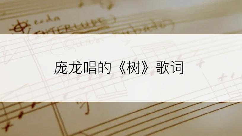 庞龙唱的《树》歌词