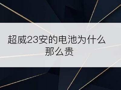 超威23安的电池为什么那么贵