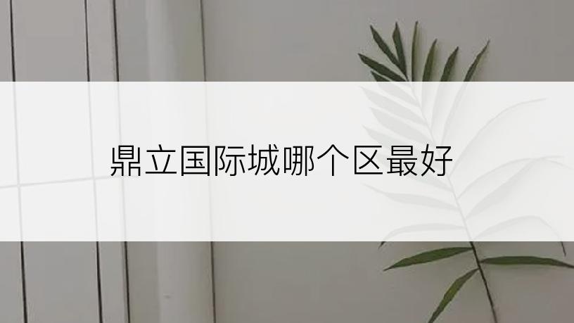 鼎立国际城哪个区最好