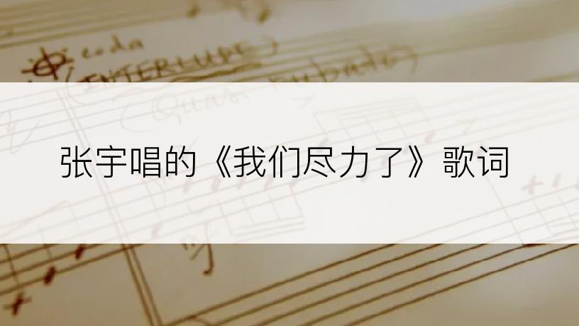 张宇唱的《我们尽力了》歌词