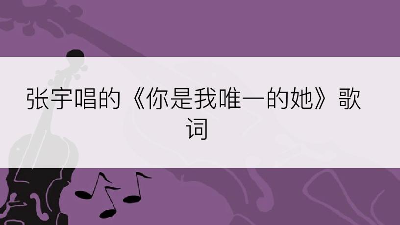 张宇唱的《你是我唯一的她》歌词