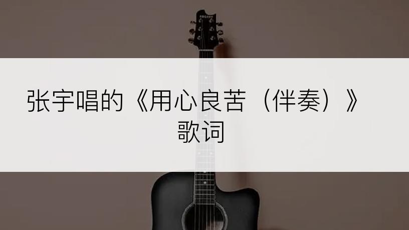 张宇唱的《用心良苦（伴奏）》歌词