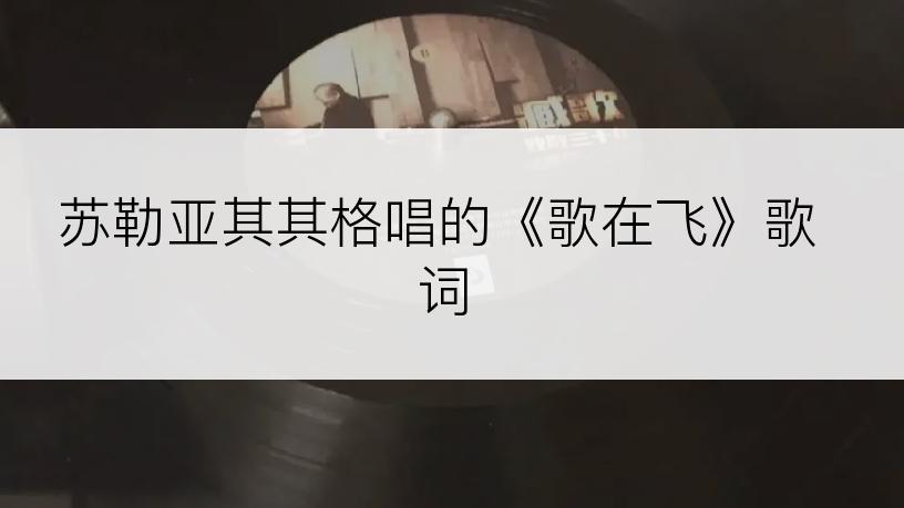 苏勒亚其其格唱的《歌在飞》歌词
