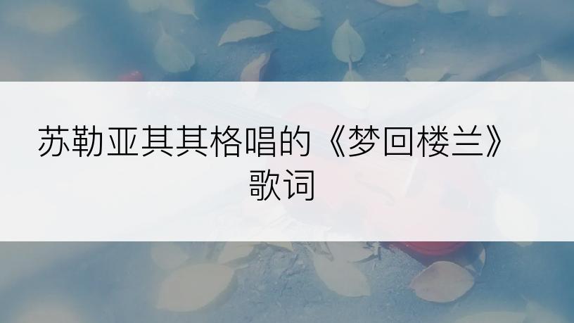 苏勒亚其其格唱的《梦回楼兰》歌词