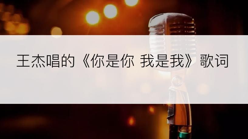 王杰唱的《你是你 我是我》歌词