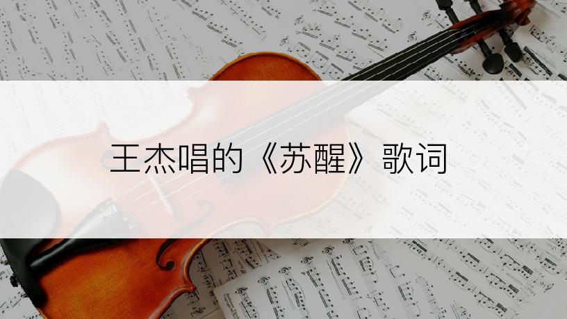 王杰唱的《苏醒》歌词