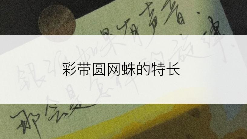 彩带圆网蛛的特长