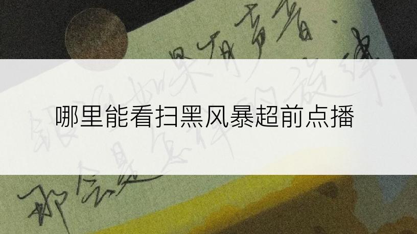 哪里能看扫黑风暴超前点播