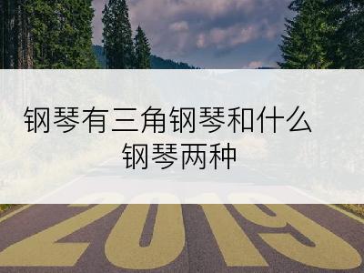 钢琴有三角钢琴和什么钢琴两种