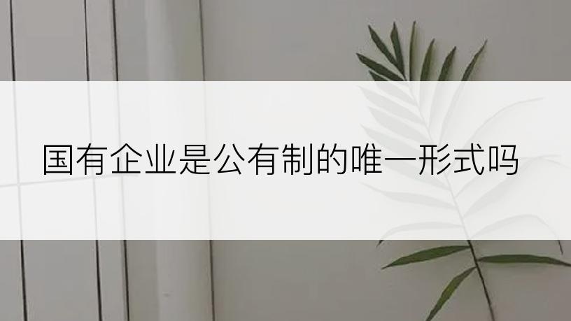 国有企业是公有制的唯一形式吗