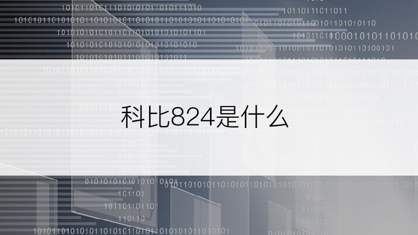 科比824是什么