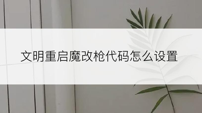 文明重启魔改枪代码怎么设置