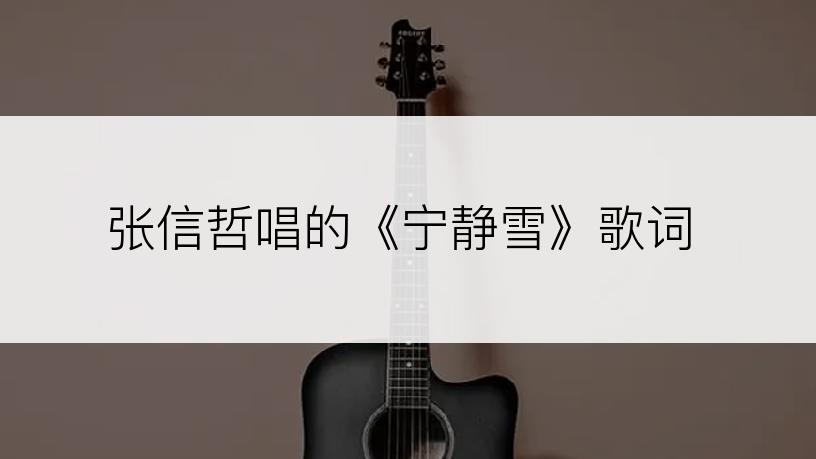 张信哲唱的《宁静雪》歌词