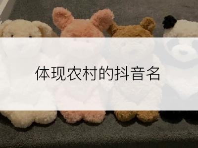 体现农村的抖音名