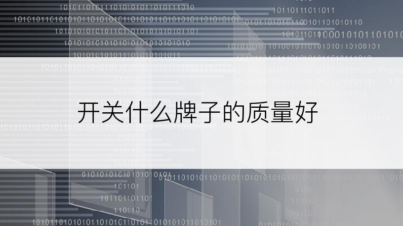 开关什么牌子的质量好
