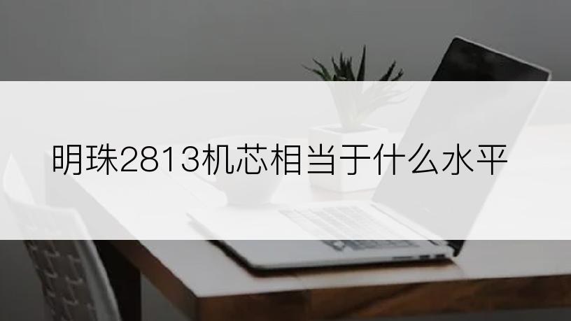 明珠2813机芯相当于什么水平