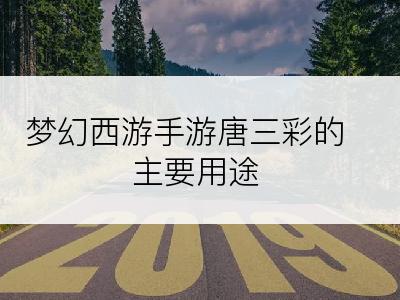梦幻西游手游唐三彩的主要用途