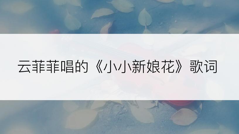 云菲菲唱的《小小新娘花》歌词