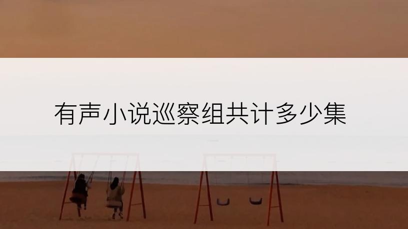 有声小说巡察组共计多少集