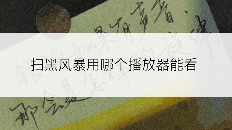 扫黑风暴用哪个播放器能看