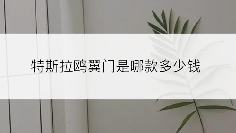 特斯拉鸥翼门是哪款多少钱