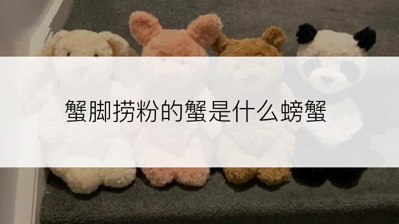 蟹脚捞粉的蟹是什么螃蟹