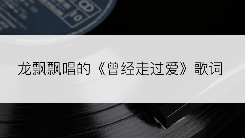 龙飘飘唱的《曾经走过爱》歌词