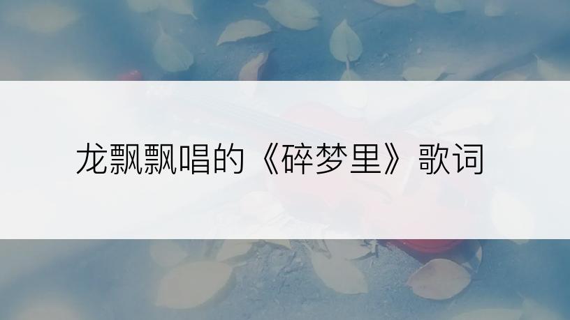 龙飘飘唱的《碎梦里》歌词