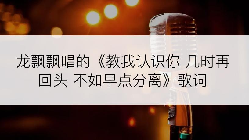 龙飘飘唱的《教我认识你 几时再回头 不如早点分离》歌词