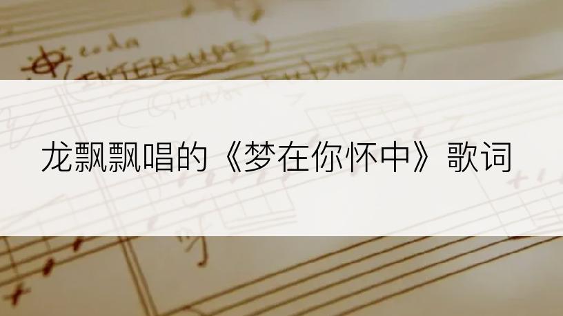 龙飘飘唱的《梦在你怀中》歌词