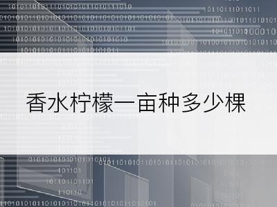 香水柠檬一亩种多少棵