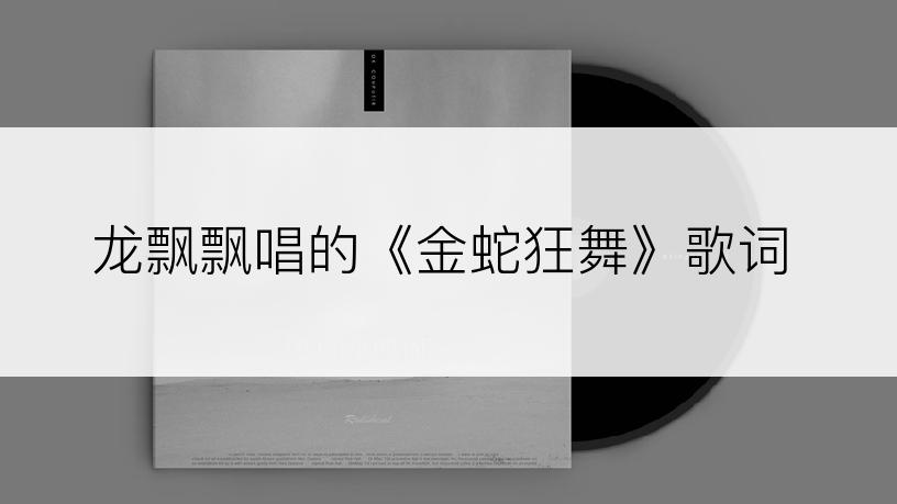 龙飘飘唱的《金蛇狂舞》歌词