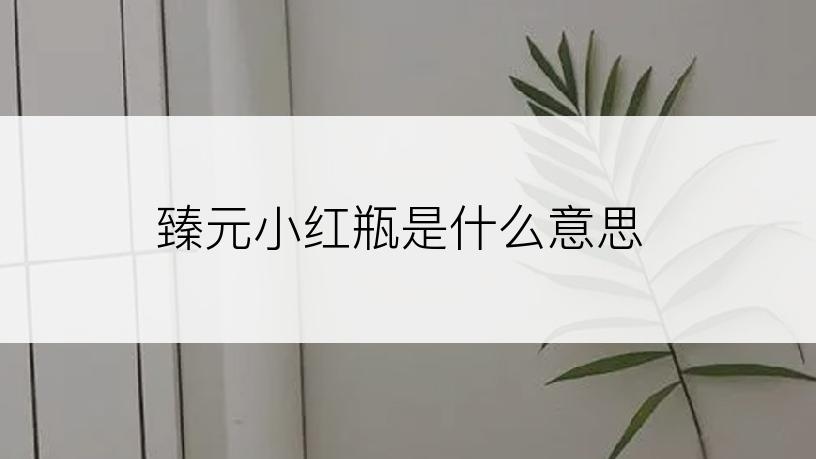 臻元小红瓶是什么意思