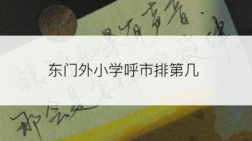 东门外小学呼市排第几