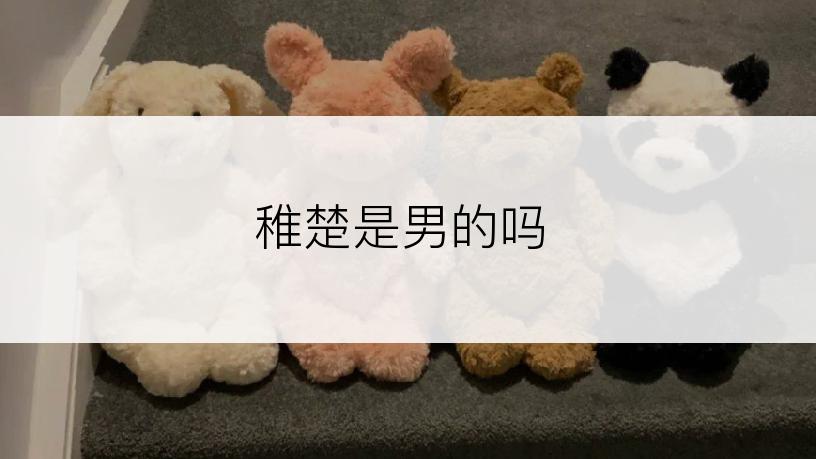 稚楚是男的吗