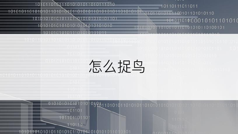 怎么捉鸟