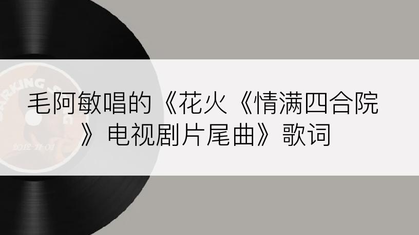 毛阿敏唱的《花火《情满四合院》电视剧片尾曲》歌词