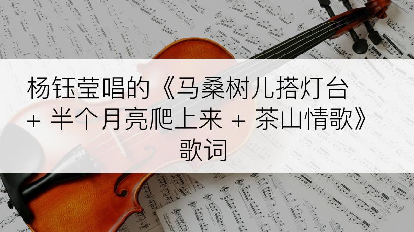 杨钰莹唱的《马桑树儿搭灯台 + 半个月亮爬上来 + 茶山情歌》歌词